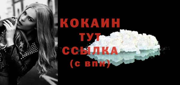 spice Каменногорск