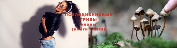 PSILOCYBIN Каменка