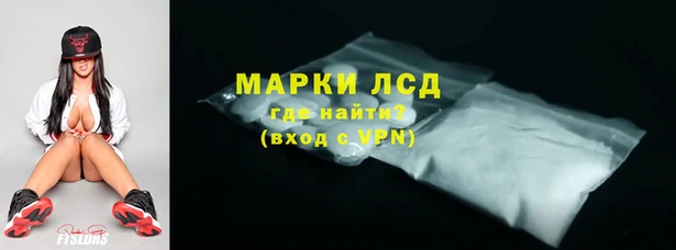 PSILOCYBIN Каменка