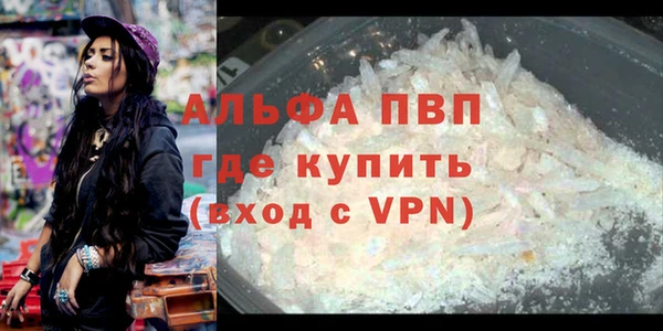 PSILOCYBIN Каменка