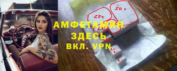 PSILOCYBIN Каменка