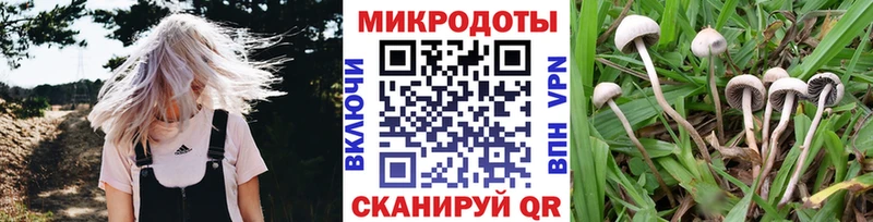 Псилоцибиновые грибы ЛСД  Купить где  Сарапул 